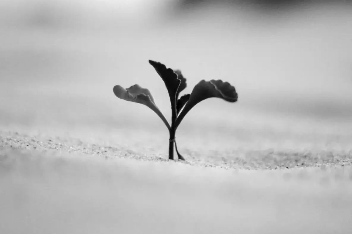 Die Grundlagen der IT-Resilienz - Besonnen in die Zukunft