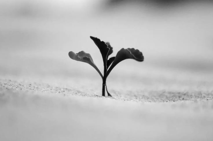 Die Grundlagen der IT-Resilienz - Besonnen in die Zukunft