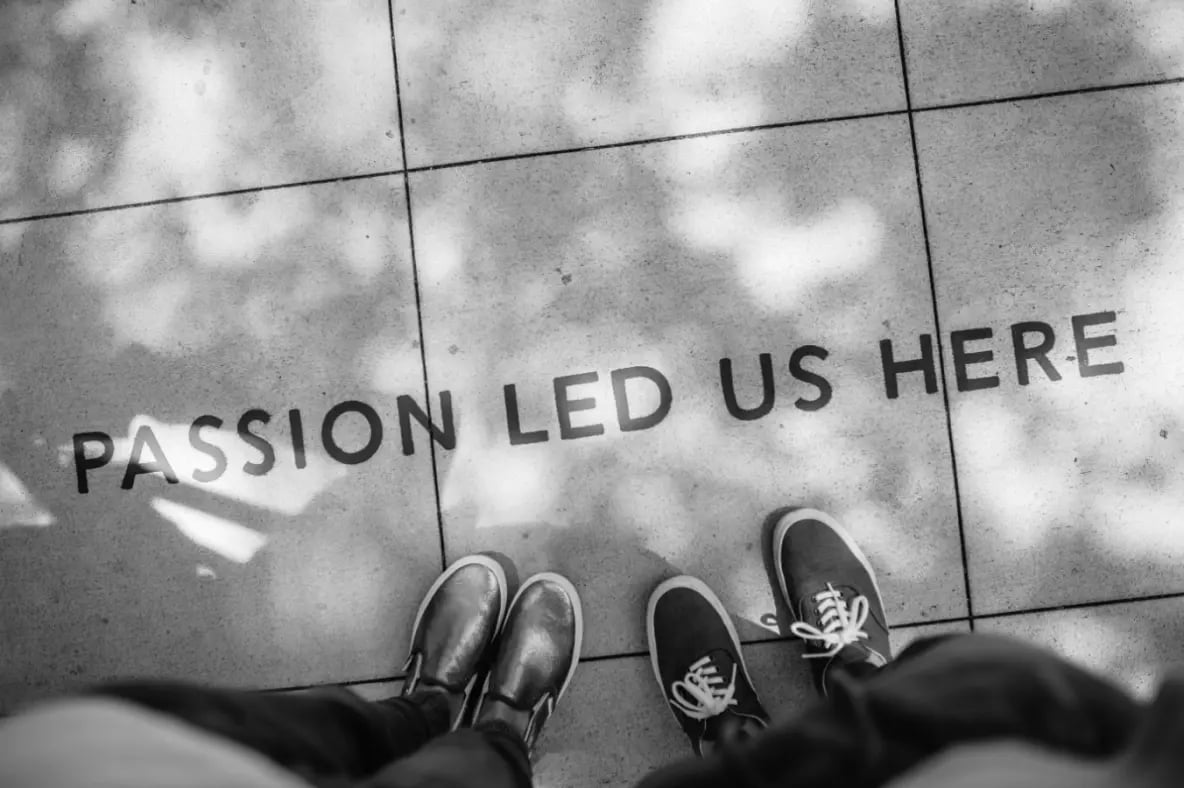 Zwischen lustvoller Kooperation und akribischer Exploration: Die Leitwerte von Assecor