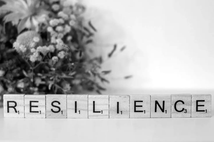 Resiliente Unternehmenskultur – Widerstandsfähig in die Zukunft