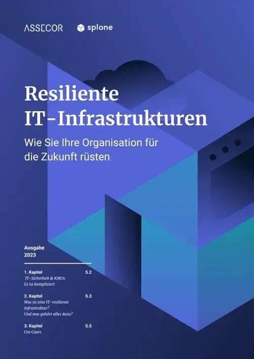 Whitepaper Resiliente IT-Infrastrukturen - Cover