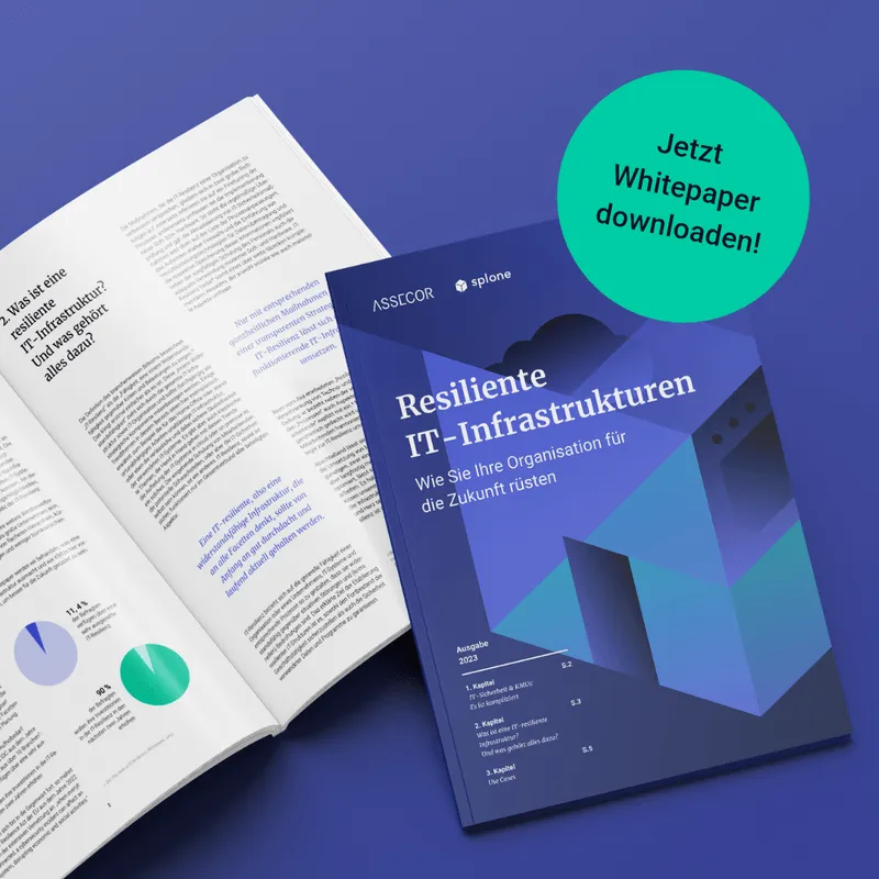 644686c49de2fa076a1b0995_Ankuendigung-Whitepaper-IT-Resilienz-p-800