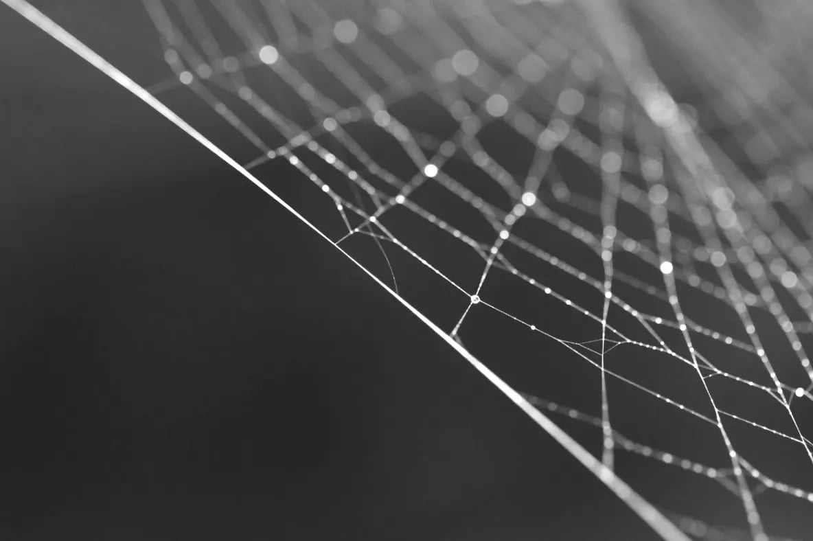 Don't let your ego fool you